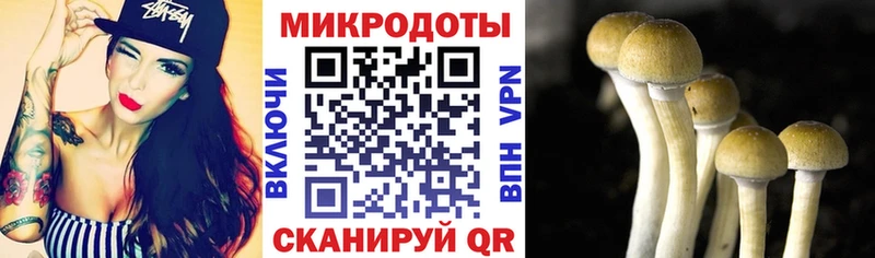 цена   Дзержинский  KRAKEN зеркало  Галлюциногенные грибы Magic Shrooms 